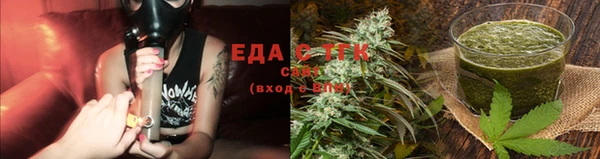 индика Богданович