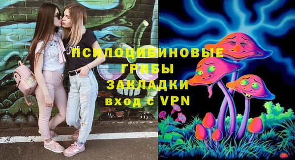 прущие крисы Белоозёрский